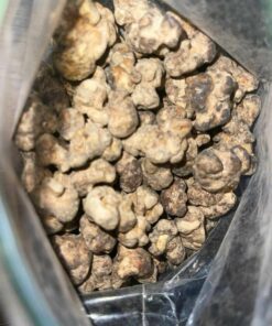 Buy Magic Mushroom Canada, ape mushroom dried, ape mushroom potency, ape mushroom strain, Buy Adderall Online, Buy Adderall Online Overnight,